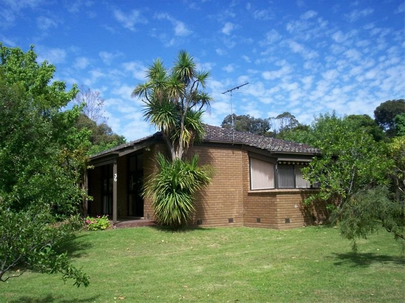 36 Tallis Drive, Mornington VIC 3931