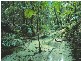 Lot 4 Kingfisher Heights II, Fraser Island QLD 4581