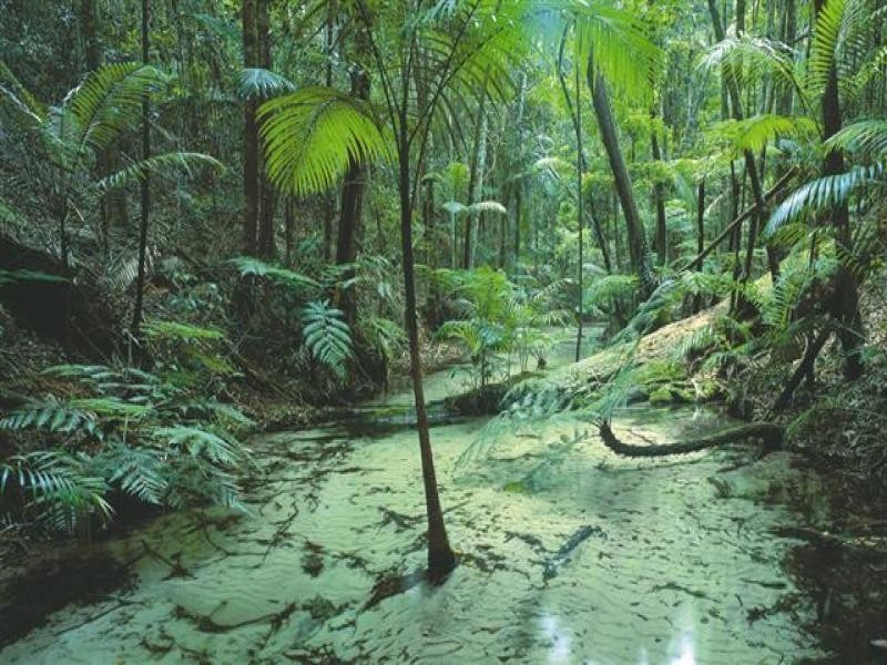 Lot 4 Kingfisher Heights II, Fraser Island QLD 4581