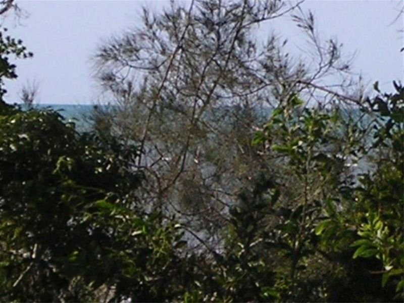 11 Nautilus Court, Dundowran QLD 4655