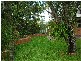 84 Miller Street, Urangan QLD 4655