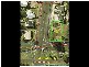 8 Tavistock Street, Hervey Bay QLD 4655