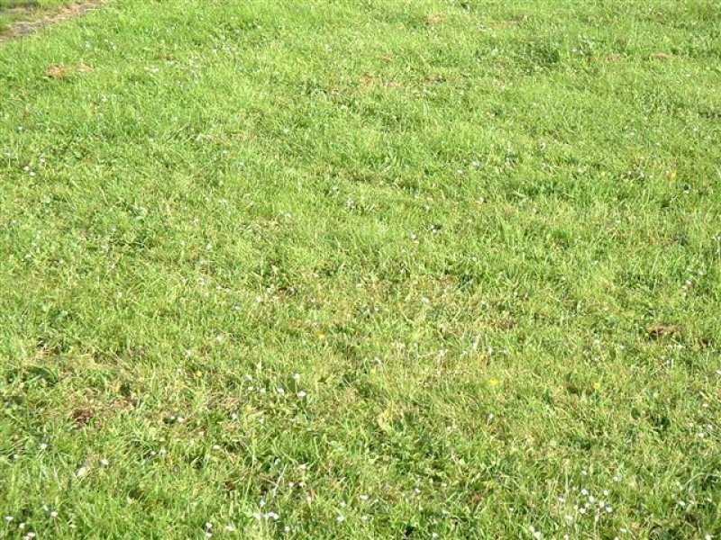 Lot 805 Kinglake Crescent, Craigieburn VIC 3064