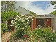 29 Hendrie Street, Morphettville SA 5043