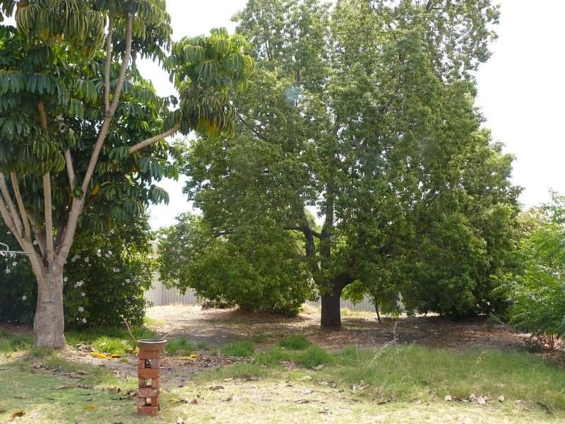 47 Mint Street, East Victoria Park WA 6101