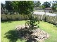 29 Palmerston Street, St James WA 6102