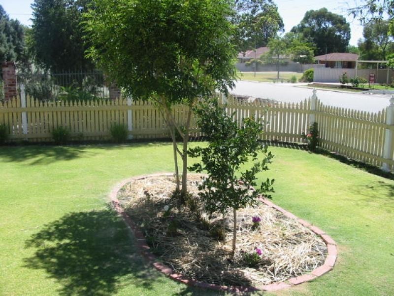 29 Palmerston Street, St James WA 6102