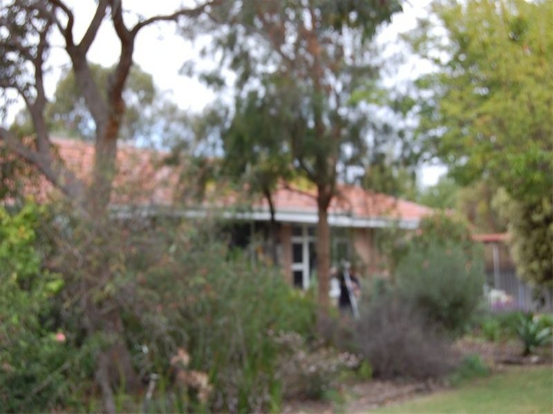 4 Paltridge Avenue, Carlisle WA 6101