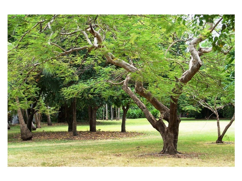 24 George Crescent, Fannie Bay NT 0820