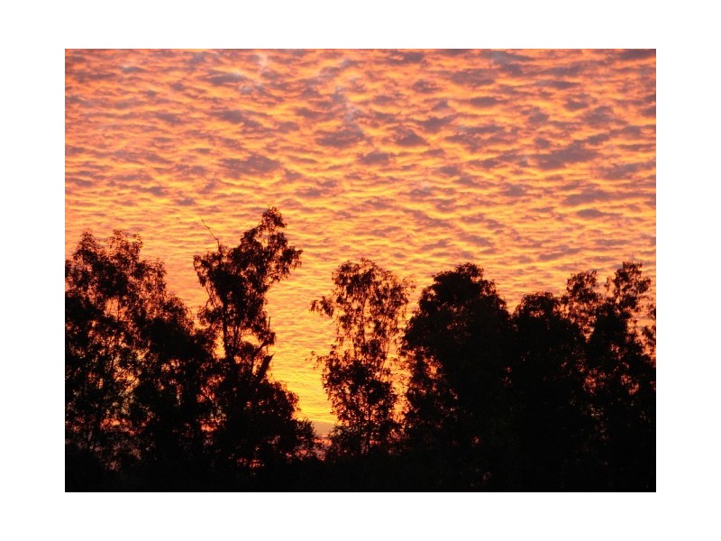 Lot 54 Frances Park Estate, Stuart Park NT 0820