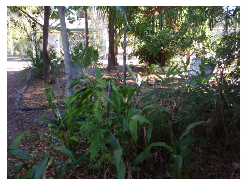 21 Colster Crescent, Wagaman NT 0810