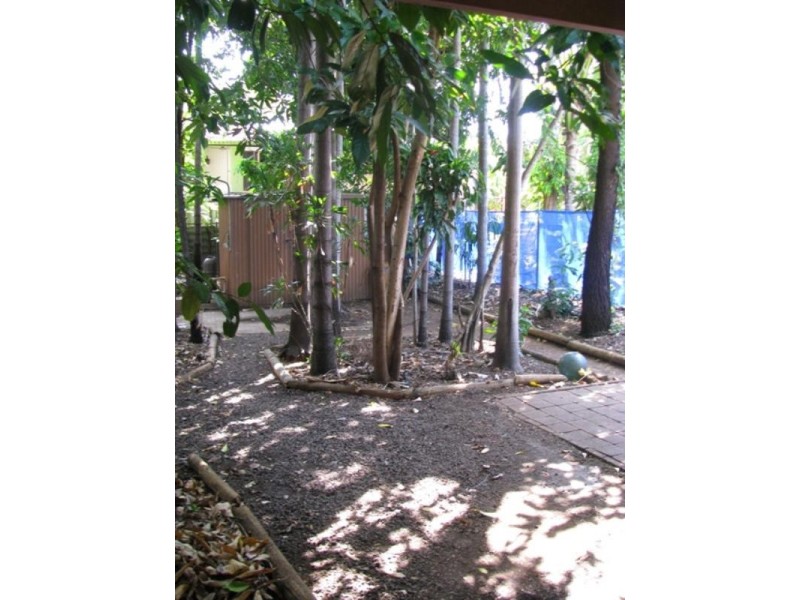 37 Bouganvillia Street, Nightcliff NT 0810
