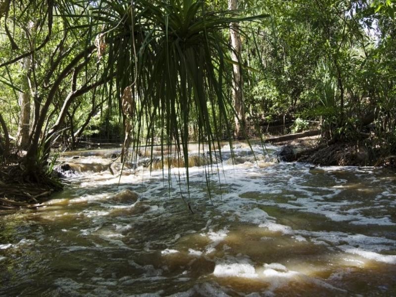 Lot 2916 Batchelor Road, Batchelor NT 0845