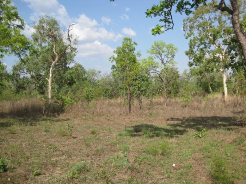 175 Whitstone Road, Acacia Hills NT 0822