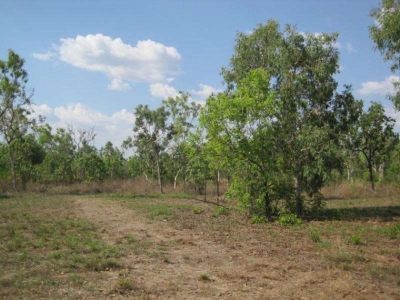 175 Whitstone Road, Acacia Hills NT 0822