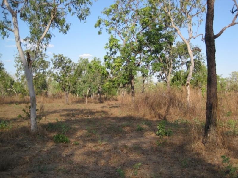 175 Whitstone Road, Acacia Hills NT 0822