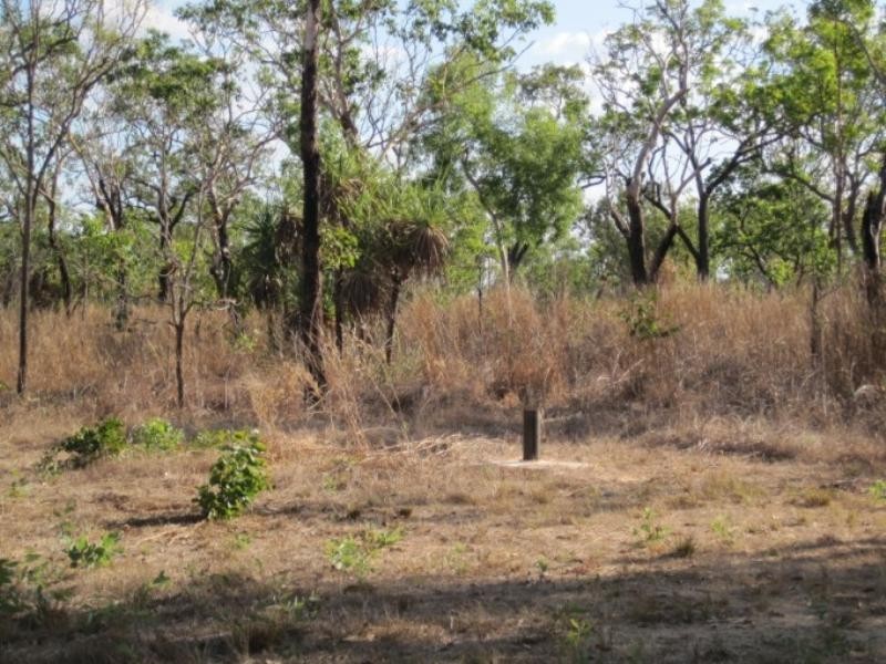 175 Whitstone Road, Acacia Hills NT 0822