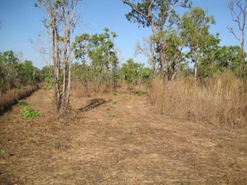 175 Whitstone Road, Acacia Hills NT 0822