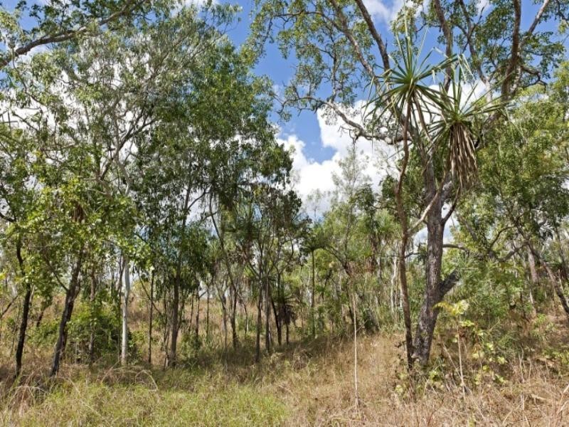 12 Mira Road, Darwin River NT 0841