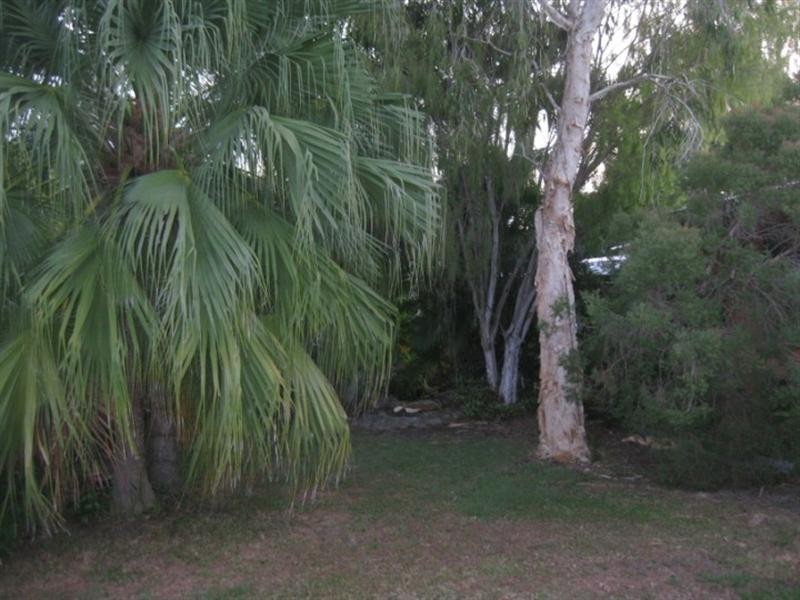 249 McMillans Road, Moil NT 0810