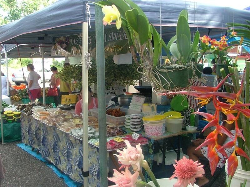 4 Bremer Street, Ludmilla NT 0820