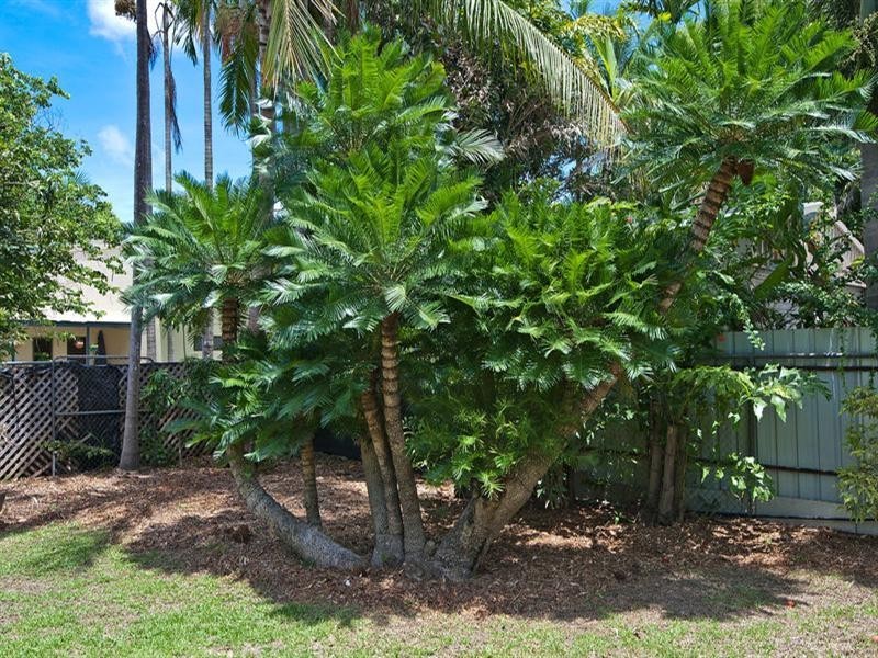 11 Lorikeet Street, Wulagi NT 0812