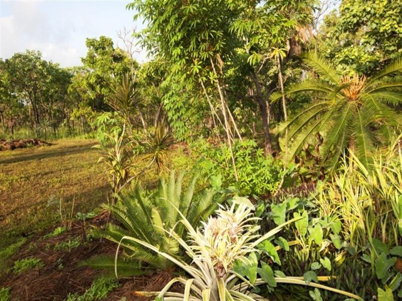 4474 Fog Bay Road, Dundee Forest NT 0840