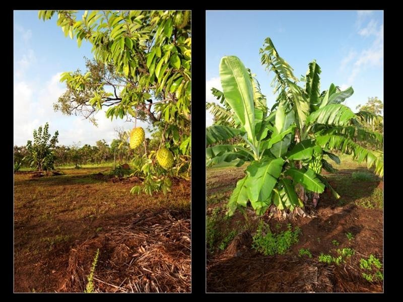 4474 Fog Bay Road, Dundee Forest NT 0840