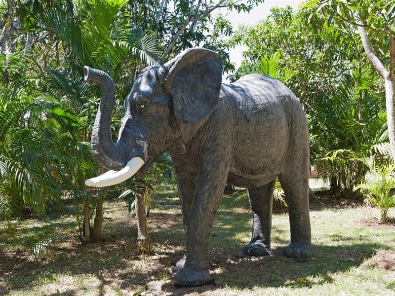 181 Leanyer Drive, Leanyer NT 0812