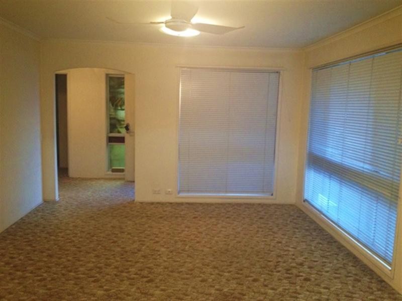 10 Angy Street, Sunnybank Hills QLD 4109