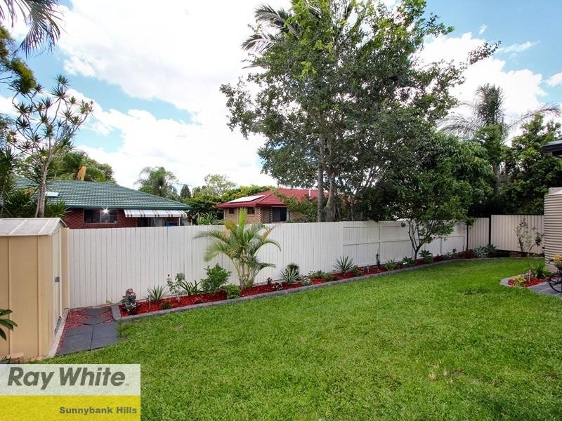 19 Greenleaf Street, Sunnybank Hills QLD 4109