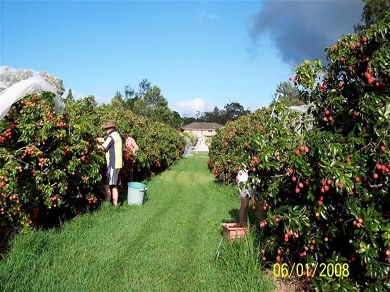 772 Gooburrum Road, Welcome Creek QLD 4670