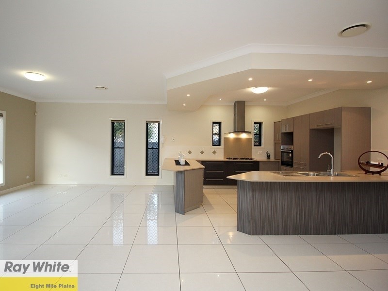 19 Collett Street, Eight Mile Plains QLD 4113