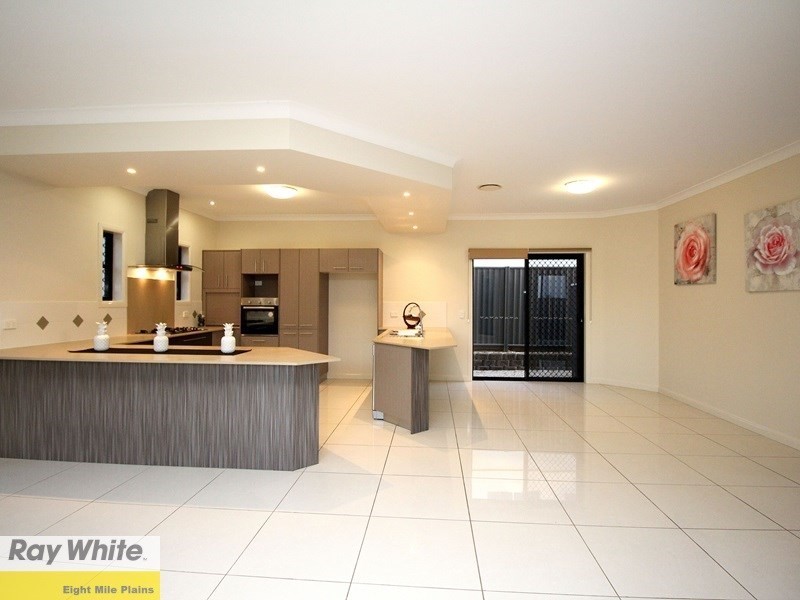 19 Collett Street, Eight Mile Plains QLD 4113