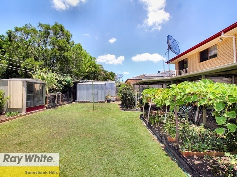 24 Ervatamia Street, Runcorn QLD 4113