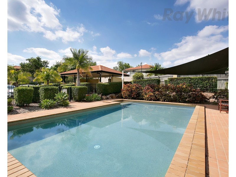 50/25 Buckingham Place, Eight Mile Plains QLD 4113