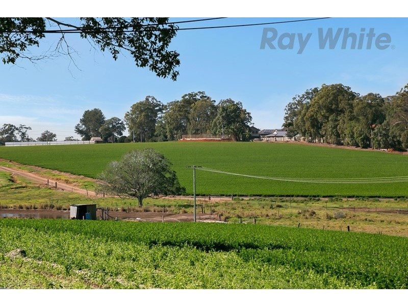 124 Warrigal Road, Runcorn QLD 4113