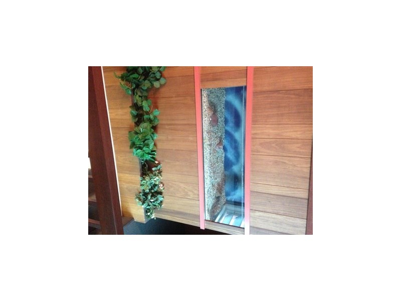 4 Pallaranda Street, Tarragindi QLD 4121