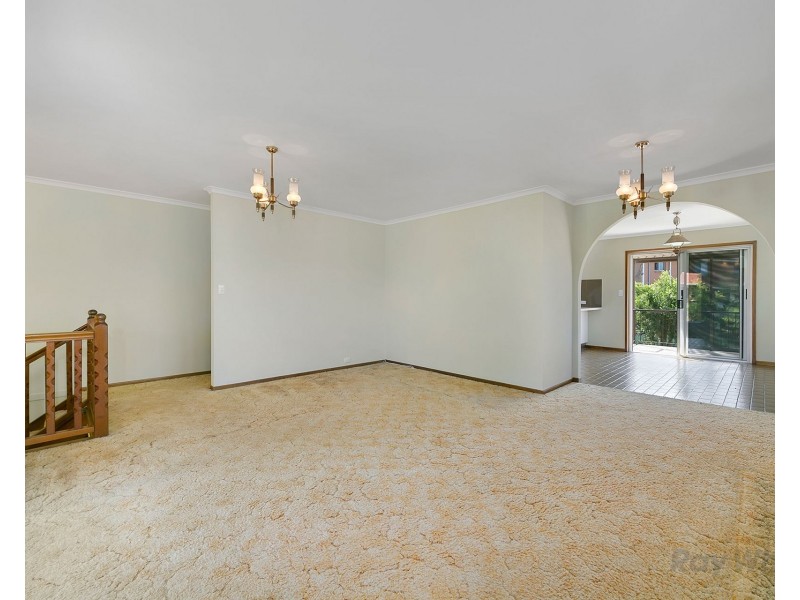 20 Hanover Street, Macgregor QLD 4109