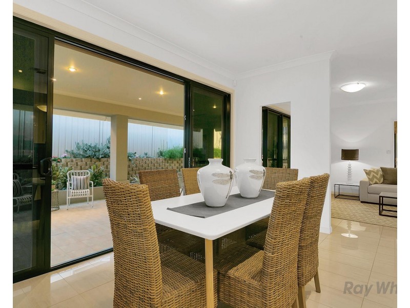 31 Ellendale Circuit, Eight Mile Plains QLD 4113