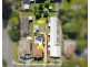 81 Fairbank Street, Sunnybank QLD 4109