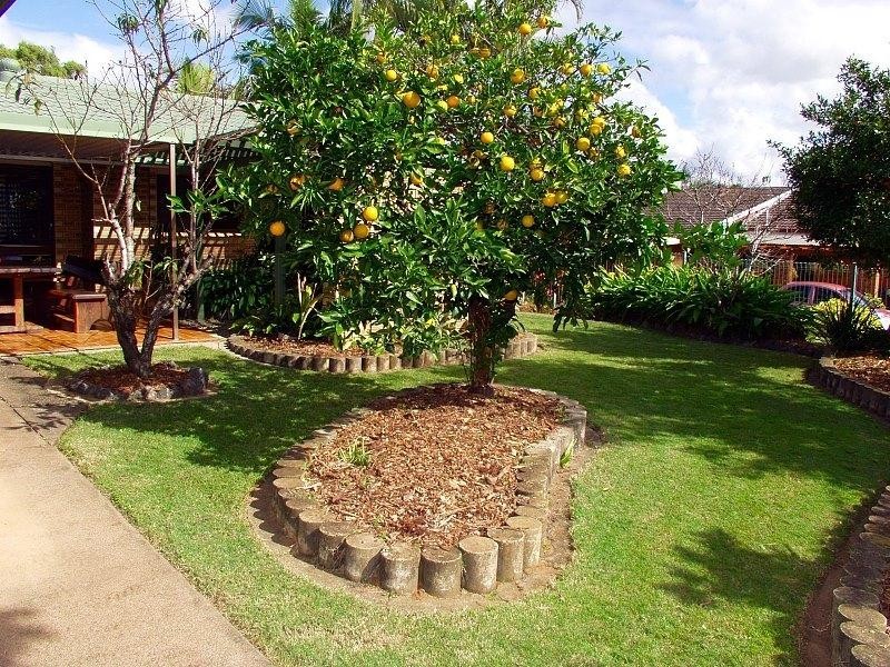 39 Arkose Street, Eight Mile Plains QLD 4113