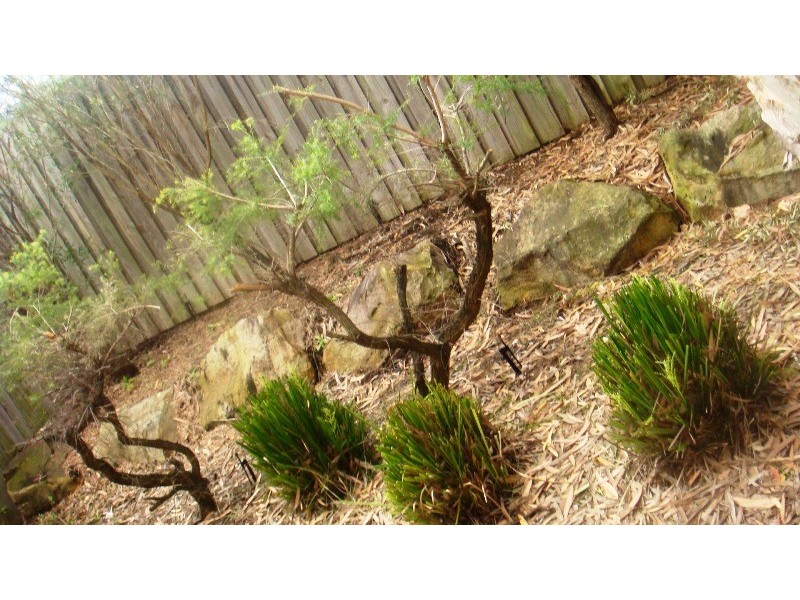 15/38 Dyson Avenue, Sunnybank QLD 4109