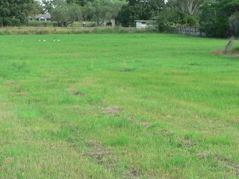 10a Park Road, Waterford West QLD 4133