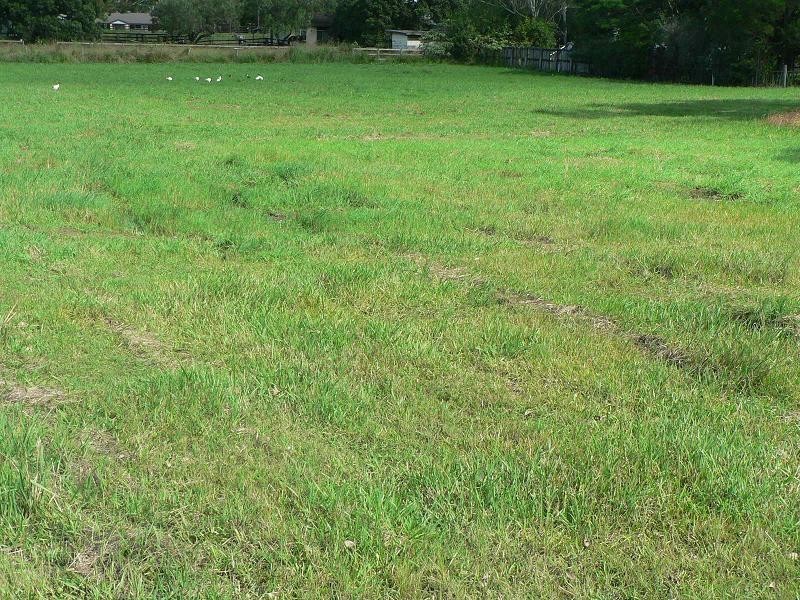 10a Park Road, Waterford West QLD 4133