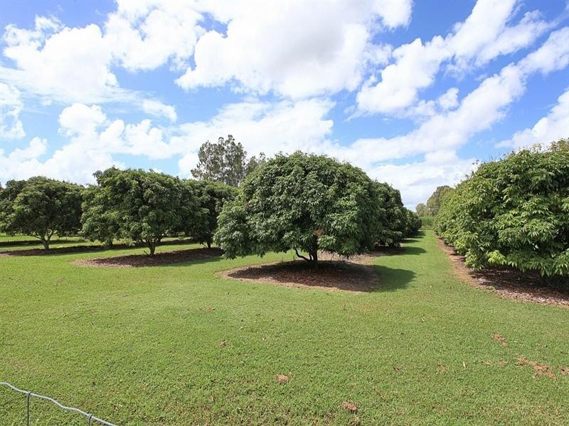 772 Gooburrum Road, Welcome Creek QLD 4670