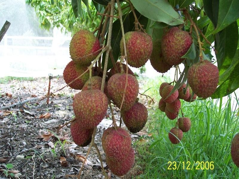 772 Gooburrum Road, Welcome Creek QLD 4670