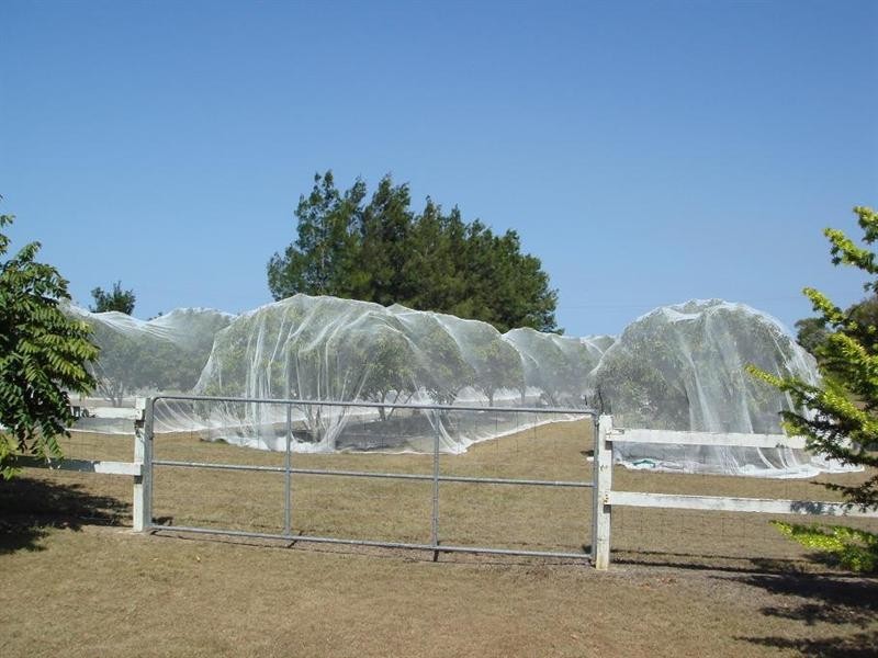 772 Gooburrum Road, Welcome Creek QLD 4670