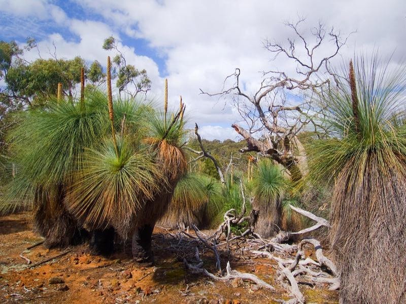 20 Sandhill Road, Anakie VIC 3221