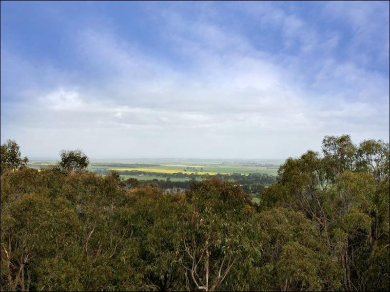 195 Demotts Road, Anakie VIC 3221